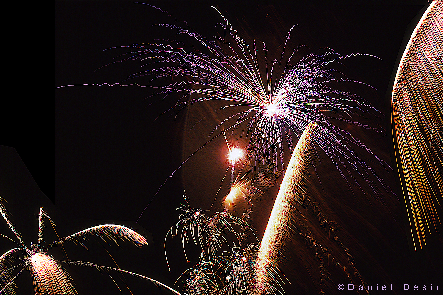 Back to the gallery 6