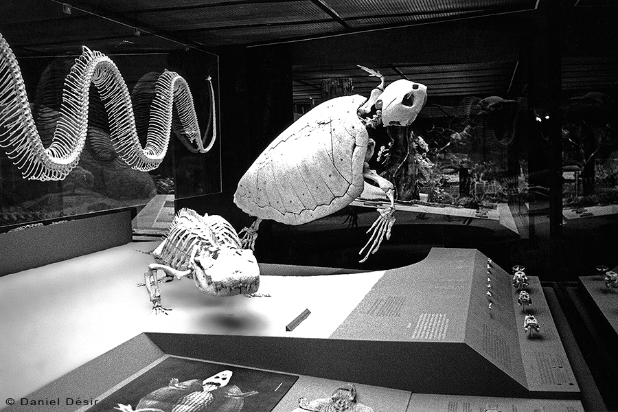 Back to the gallery 2