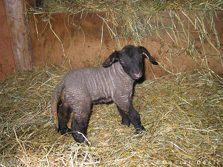 Back to the gallery 4