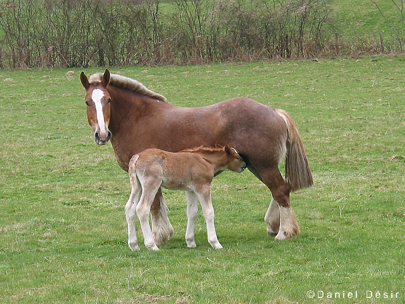 Back to the gallery 5