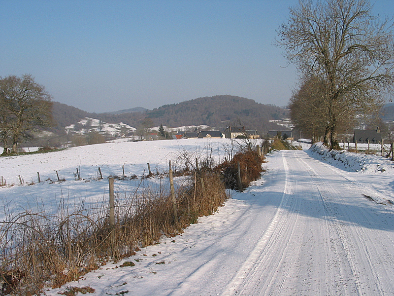 Back to the gallery 5