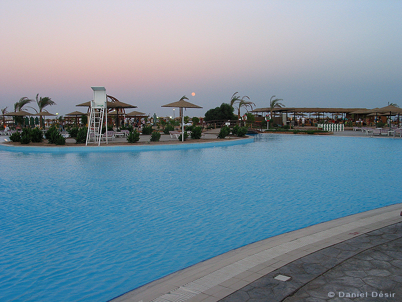 Back to the gallery 7