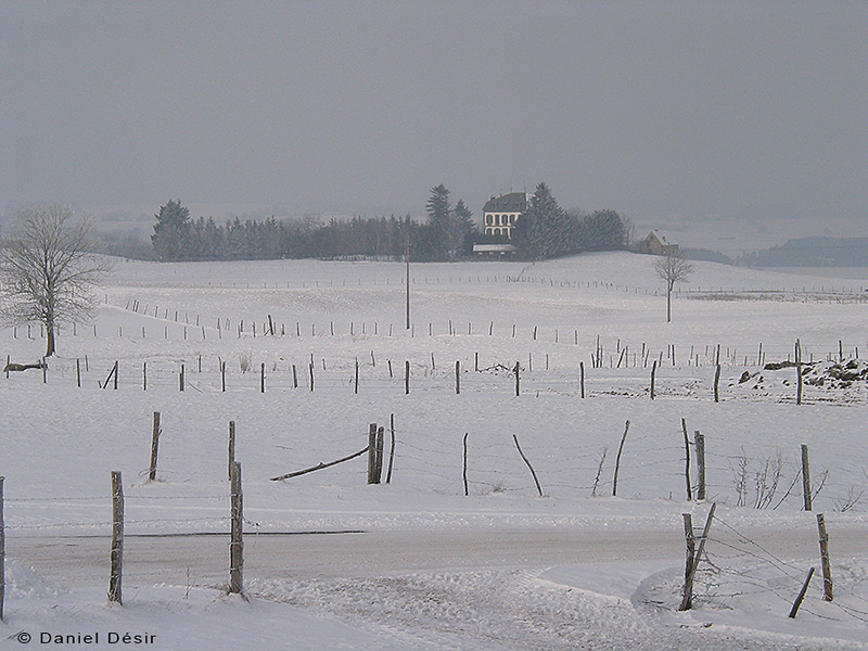 Back to the gallery 2