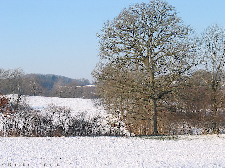 Back to the gallery 4