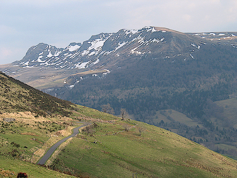 Back to the gallery 5