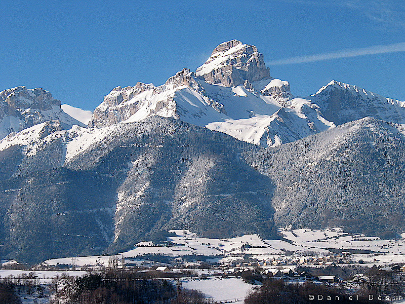 Back to the gallery 7