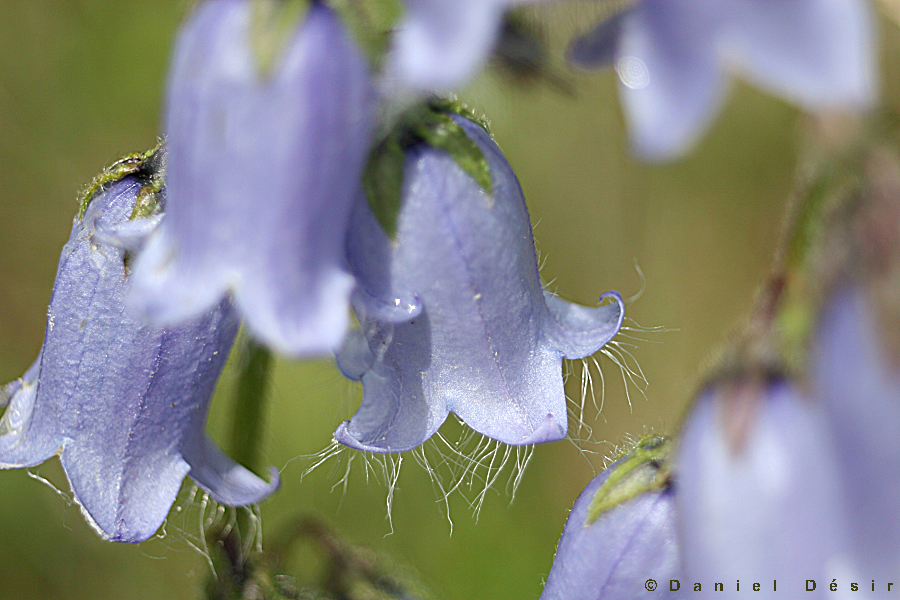 Back to the gallery 8