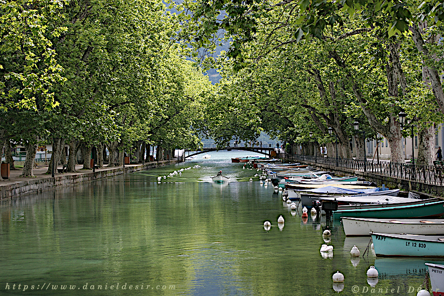 Back to the gallery 9