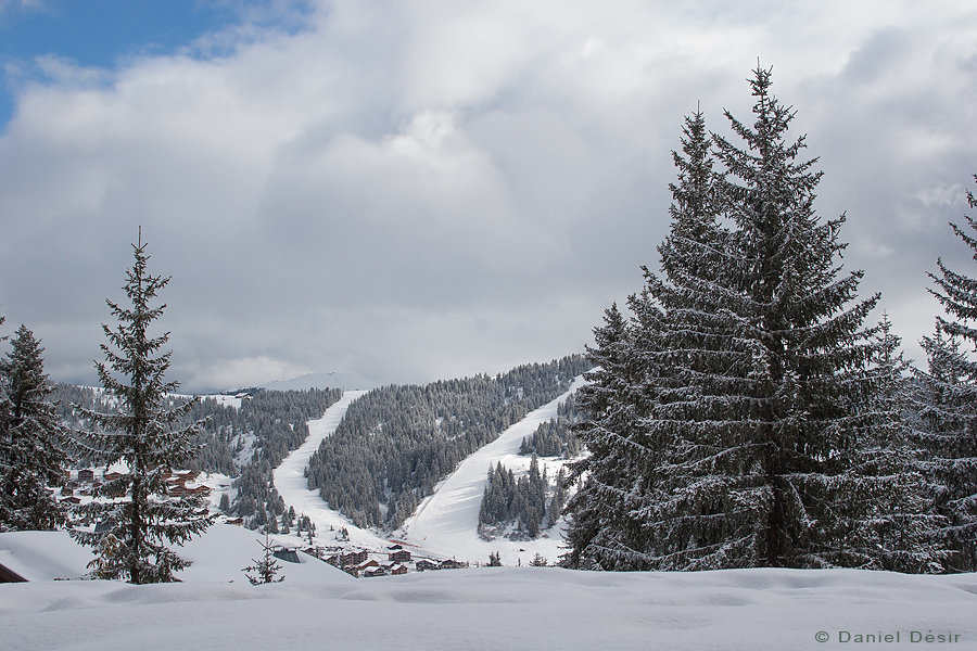 Back to the gallery 9