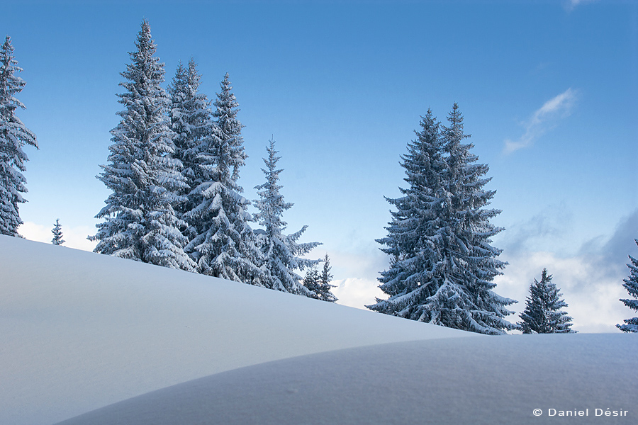 Back to the gallery 9