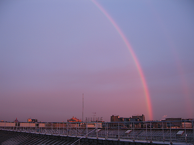 Back to the gallery 10