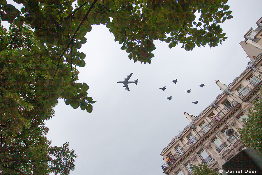 Back to the gallery 12