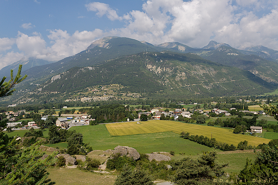 Back to the gallery 12