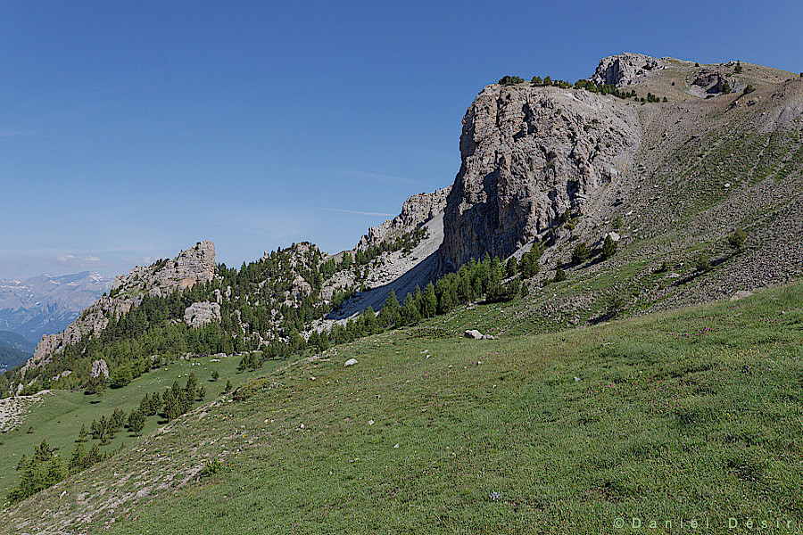 Back to the gallery 13