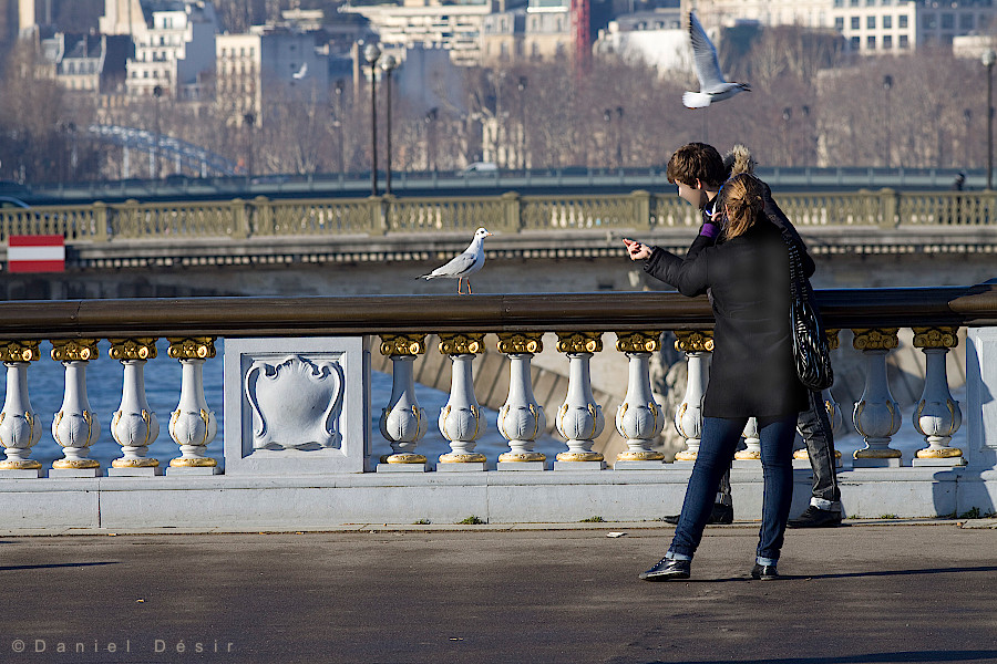 Back to the gallery 11