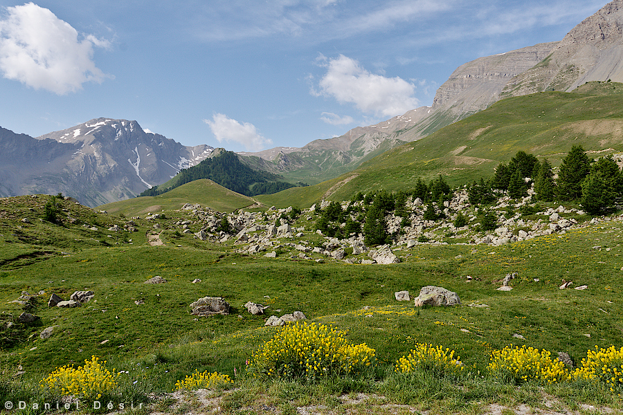 Back to the gallery 12