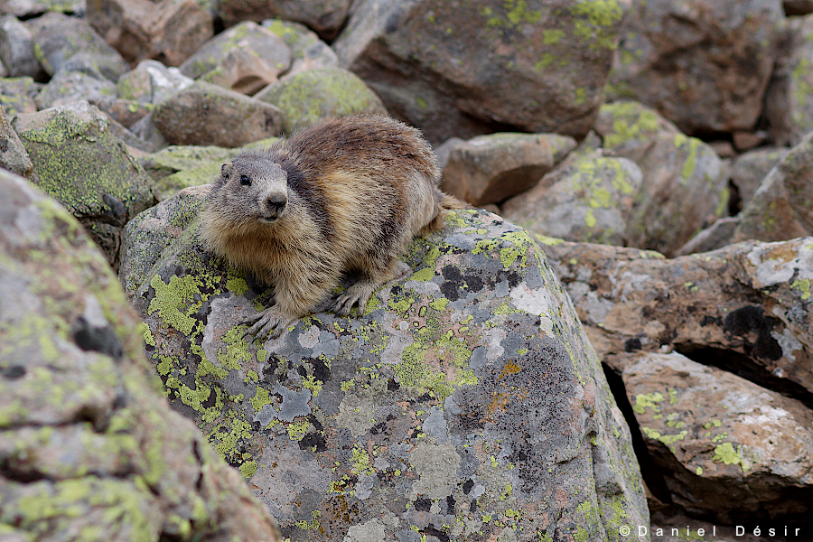 Back to the gallery 12