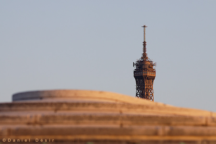 Back to the gallery 11