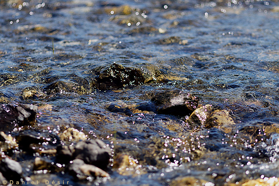 Back to the gallery 13