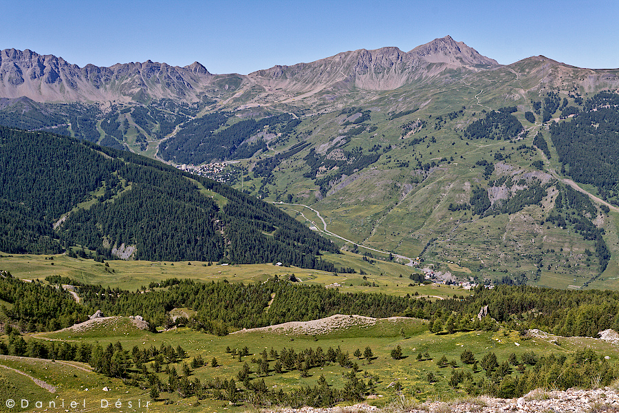 Back to the gallery 13