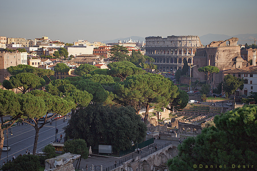 Back to the gallery 16