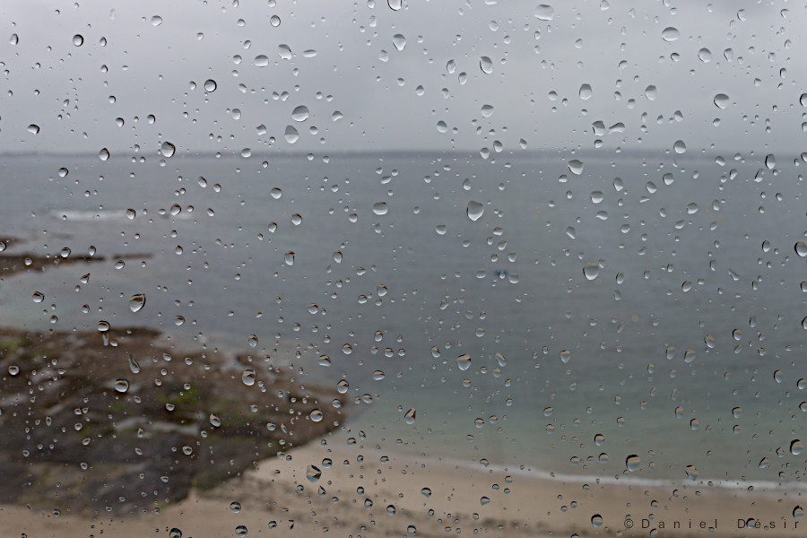 Back to the gallery 15