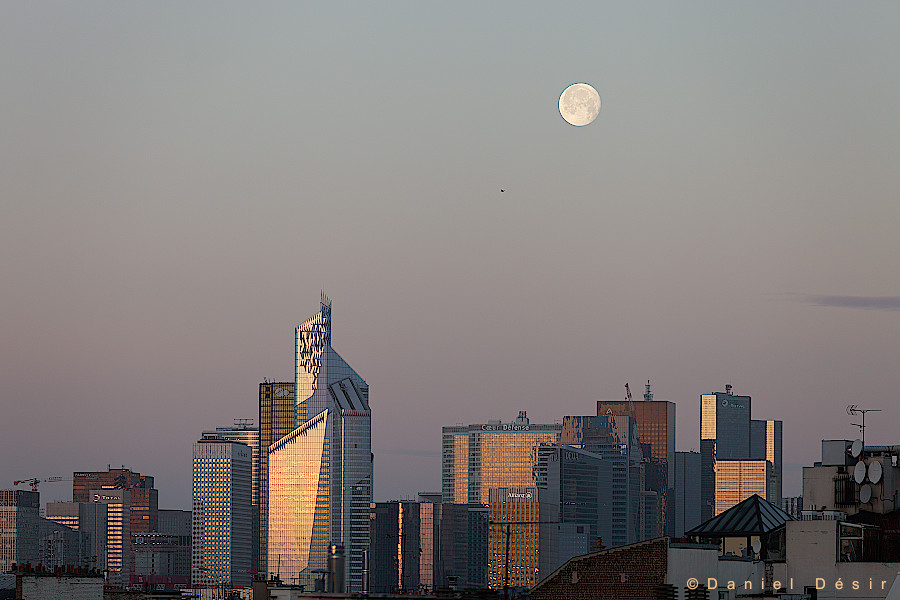 Back to the gallery 10