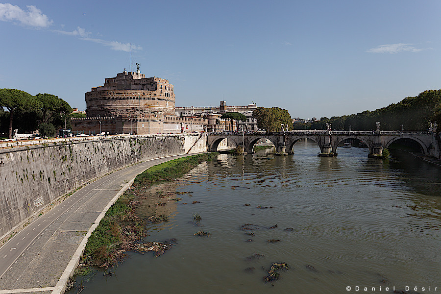 Back to the gallery 16