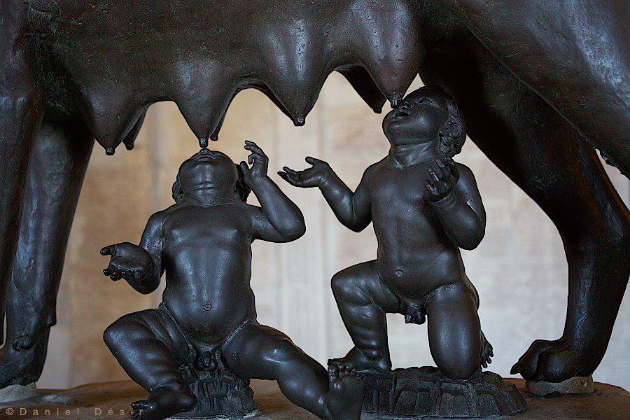 Back to the gallery 16