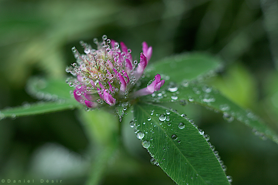 Back to the gallery 15