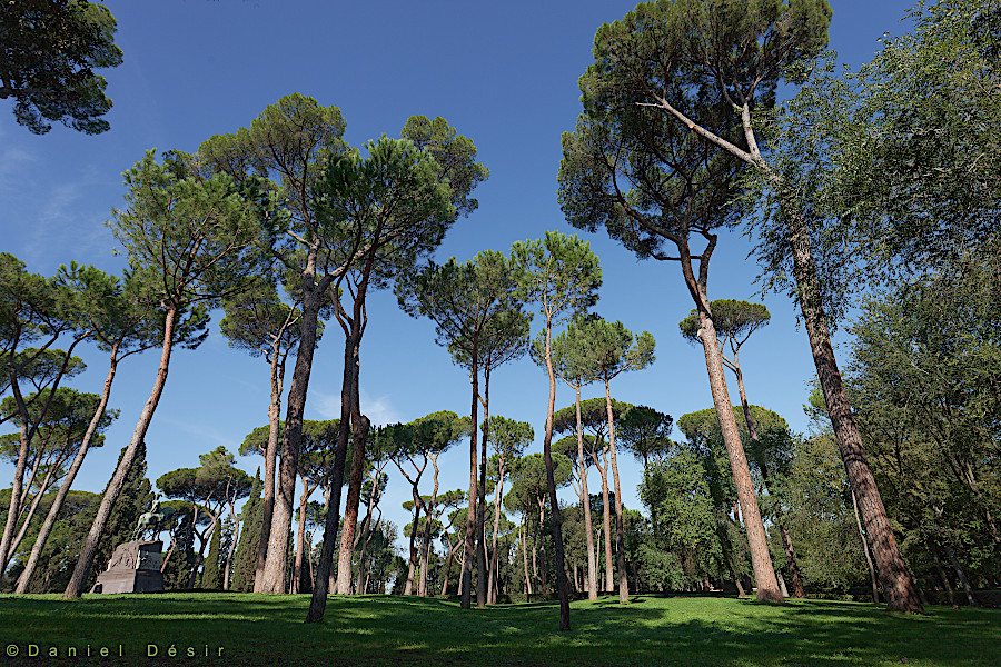 Back to the gallery 16