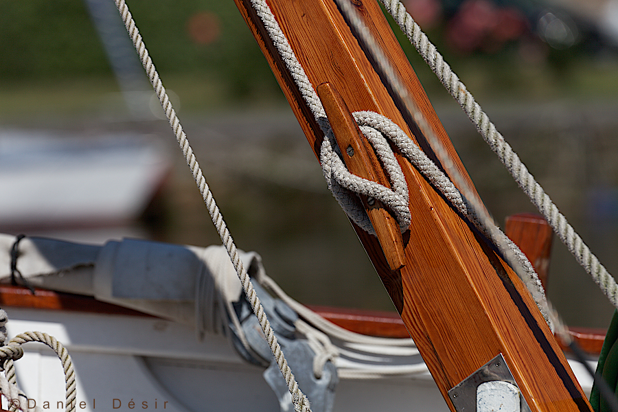 Back to the gallery 17