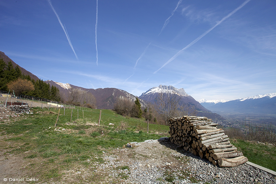 Back to the gallery 18