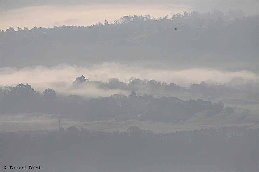 Back to the gallery 20