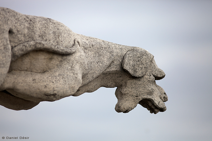 Back to the gallery 18