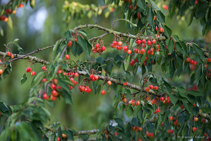 Back to the gallery 19