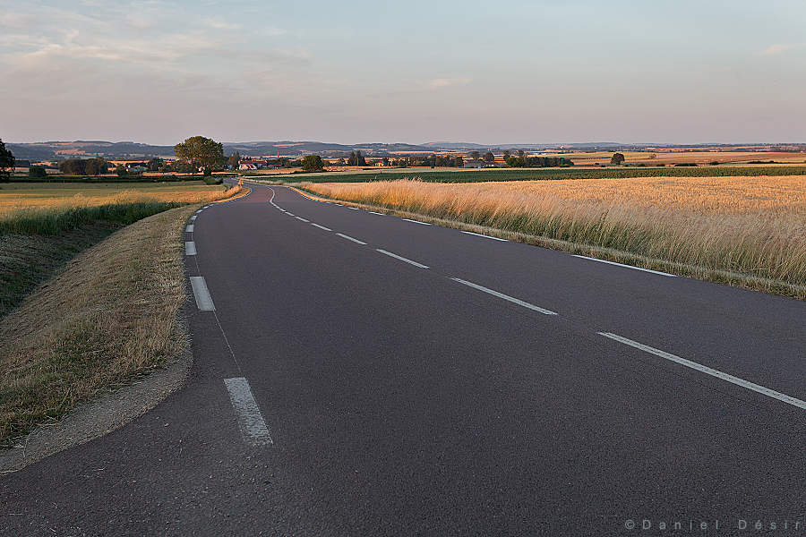 Back to the gallery 19