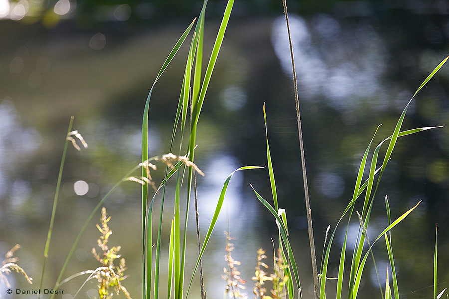 Back to the gallery 19