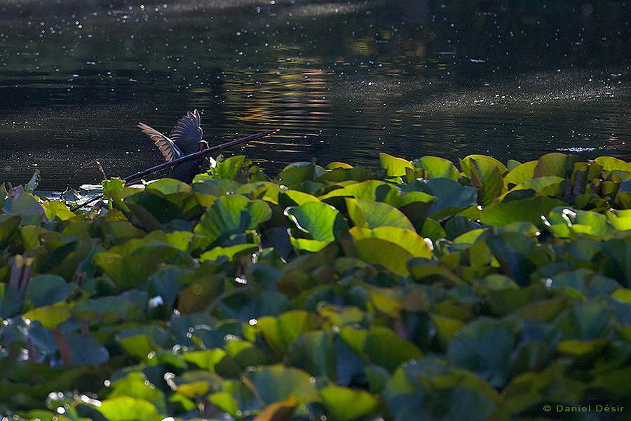 Back to the gallery 19