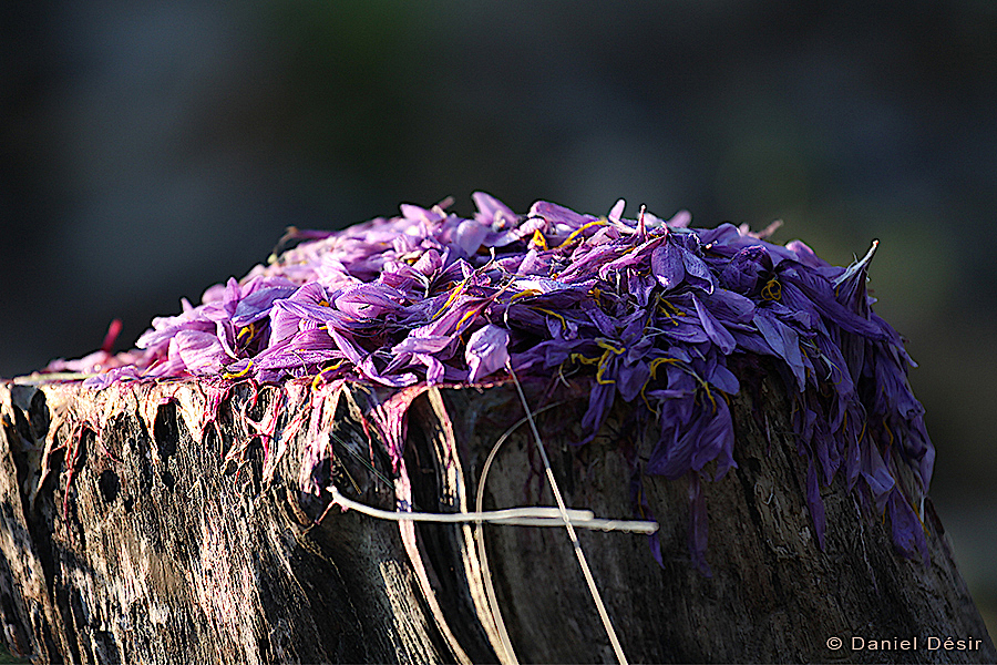 Back to the gallery 20