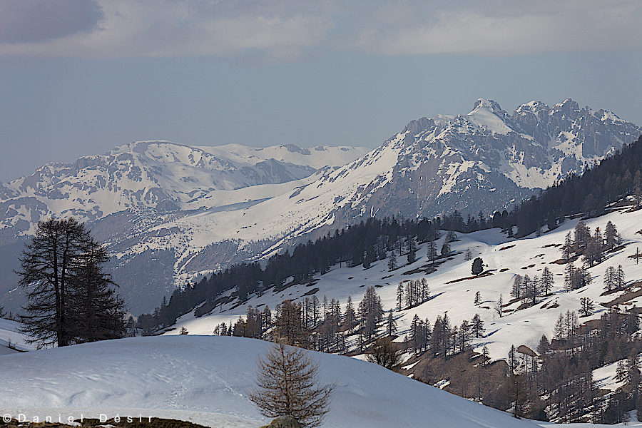 Back to the gallery 18