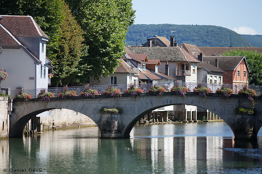 Back to the gallery 25