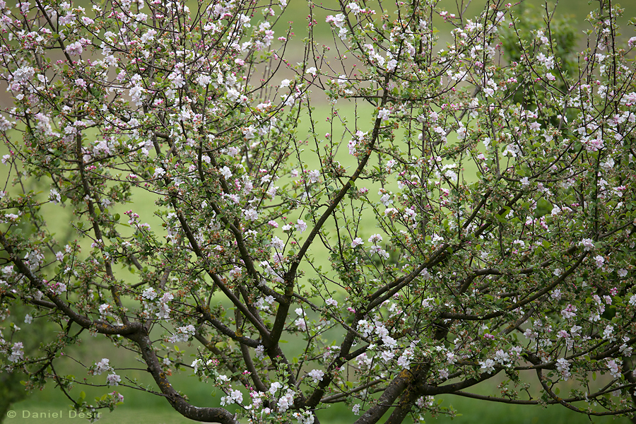 Back to the gallery 24