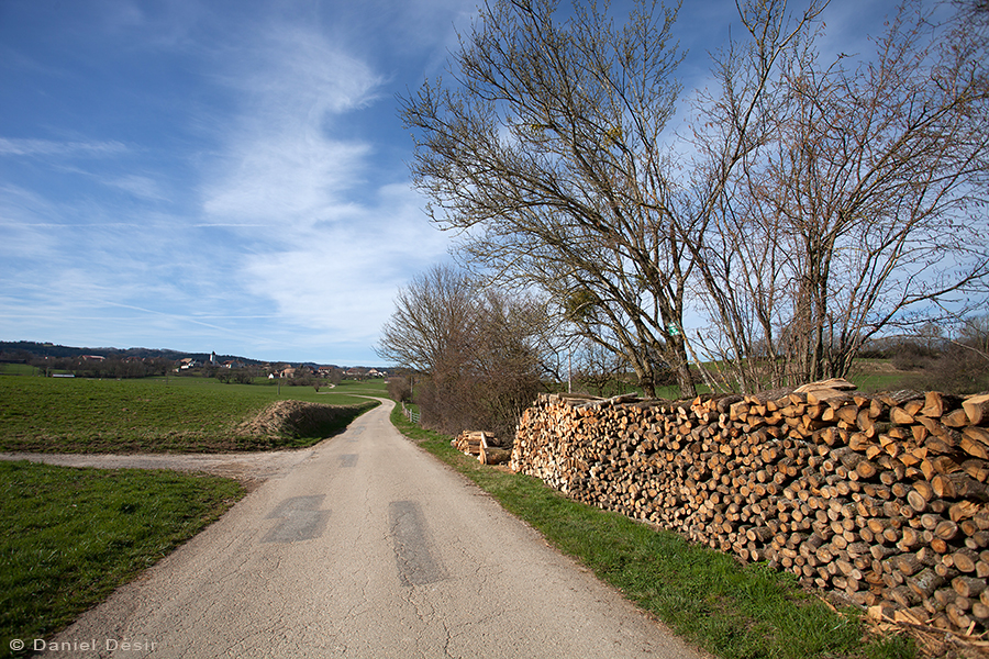 Back to the gallery 25