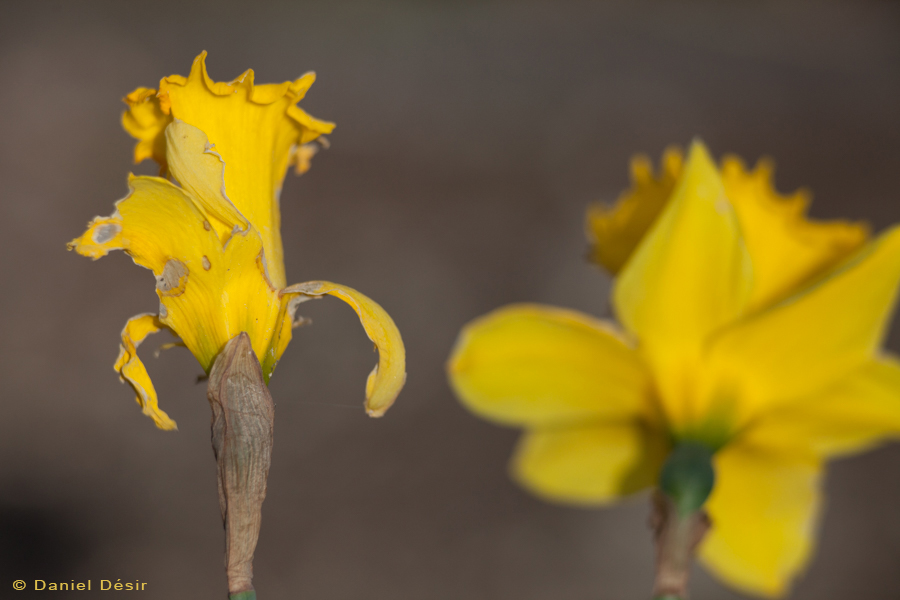 Back to the gallery 24