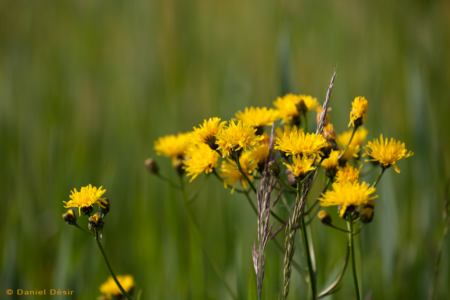 Back to the gallery 24