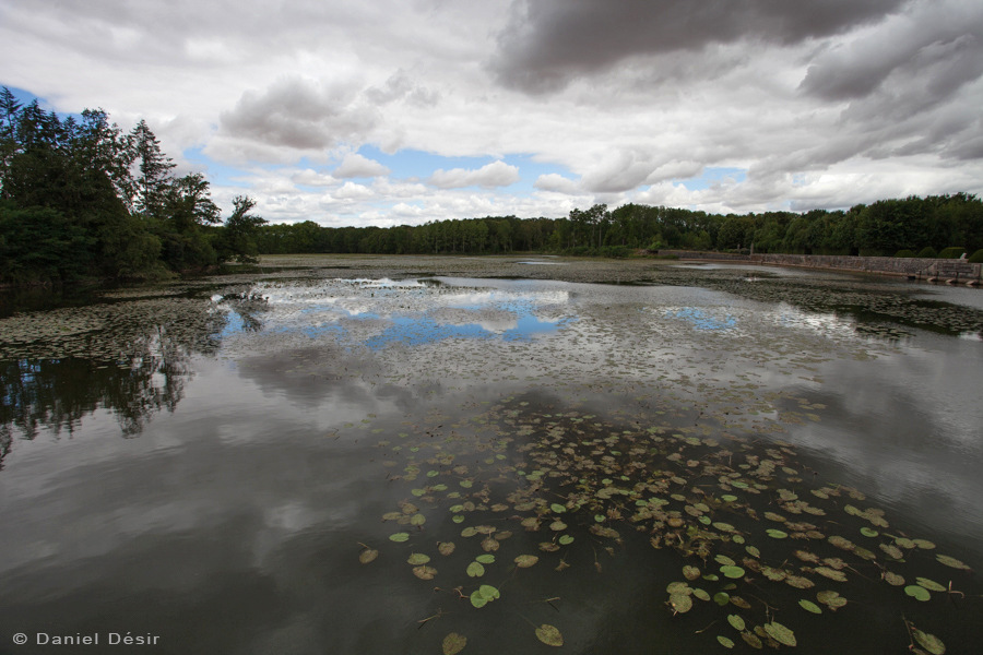 Back to the gallery 24