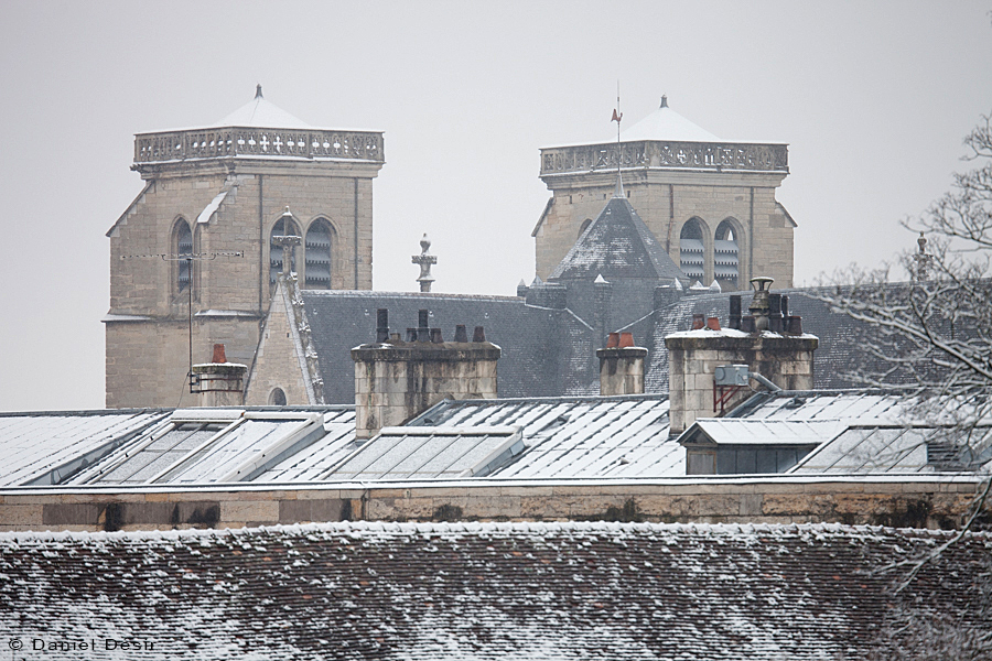 Back to the gallery 23