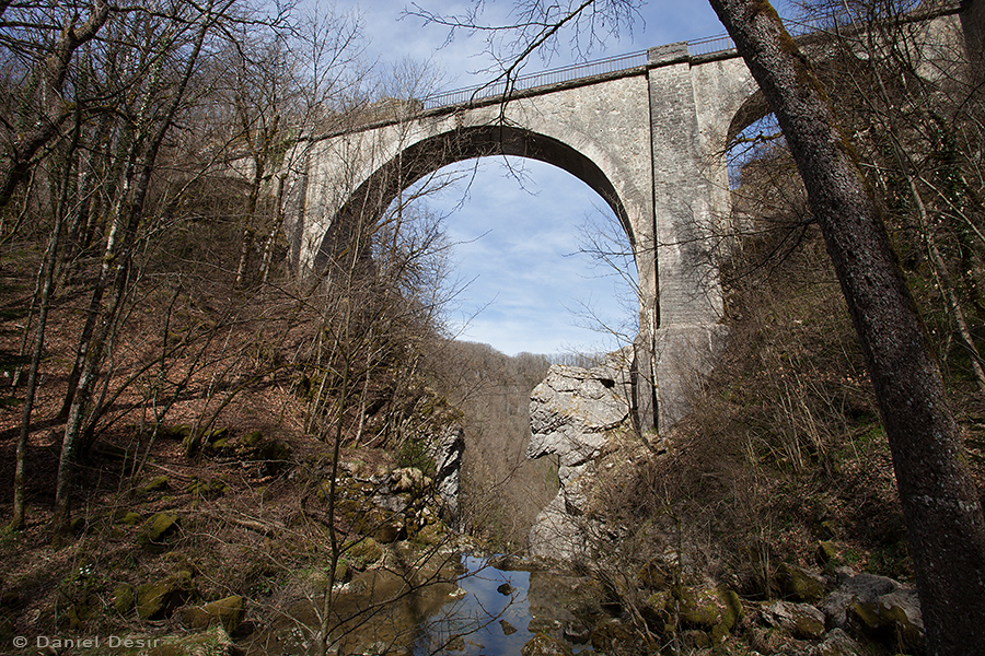 Back to the gallery 25