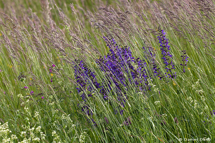 Back to the gallery 23